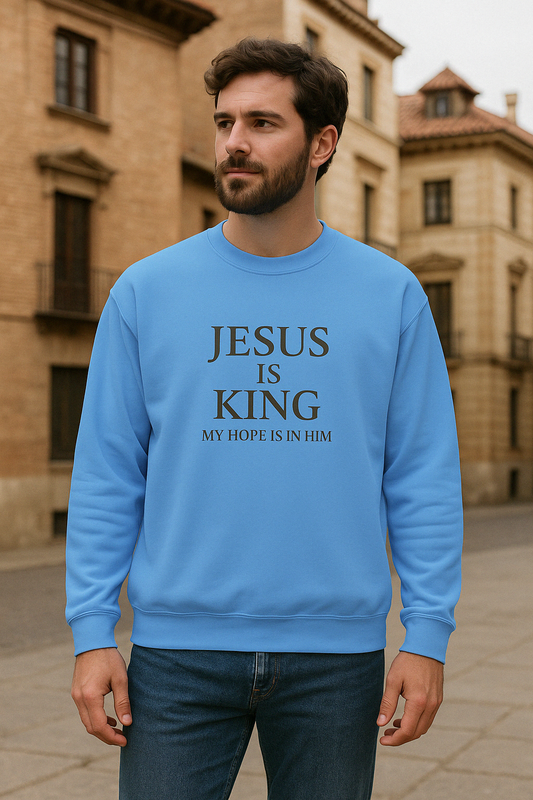 Softstyle Fleece Crewneck Sweatshirt